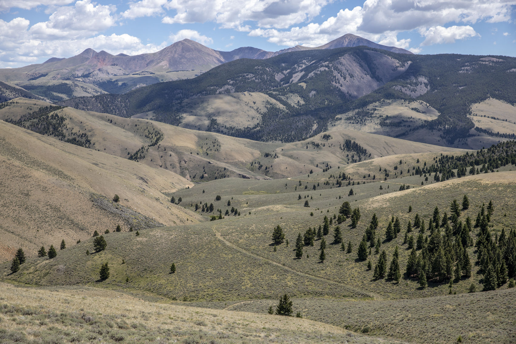 Lima Peaks from White Pine Ridge